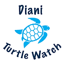 diani turtle watch logo